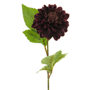 DALIA DALIA