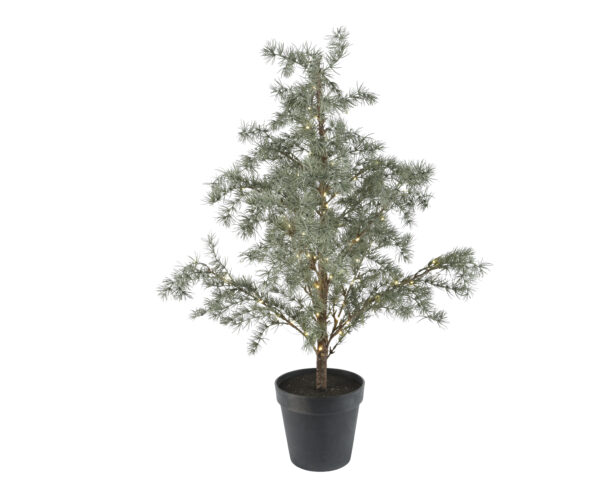 DRZEWKO MODRZEW OSZRONIONE W DONICZCE 80CM Z LEMPKAMI LED 50