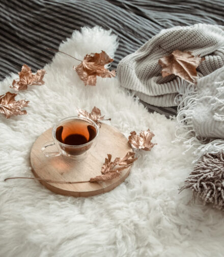 Przewodnik po luksusowych kocach: kaszmir, moher czy wełna merino?