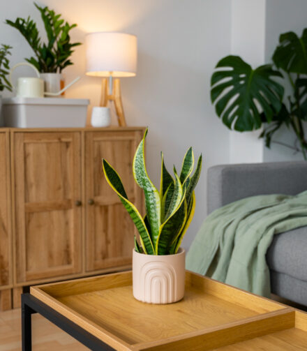 Zieleń we wnętrzach przez cały rok – aranżacje ze sztucznymi roślinami